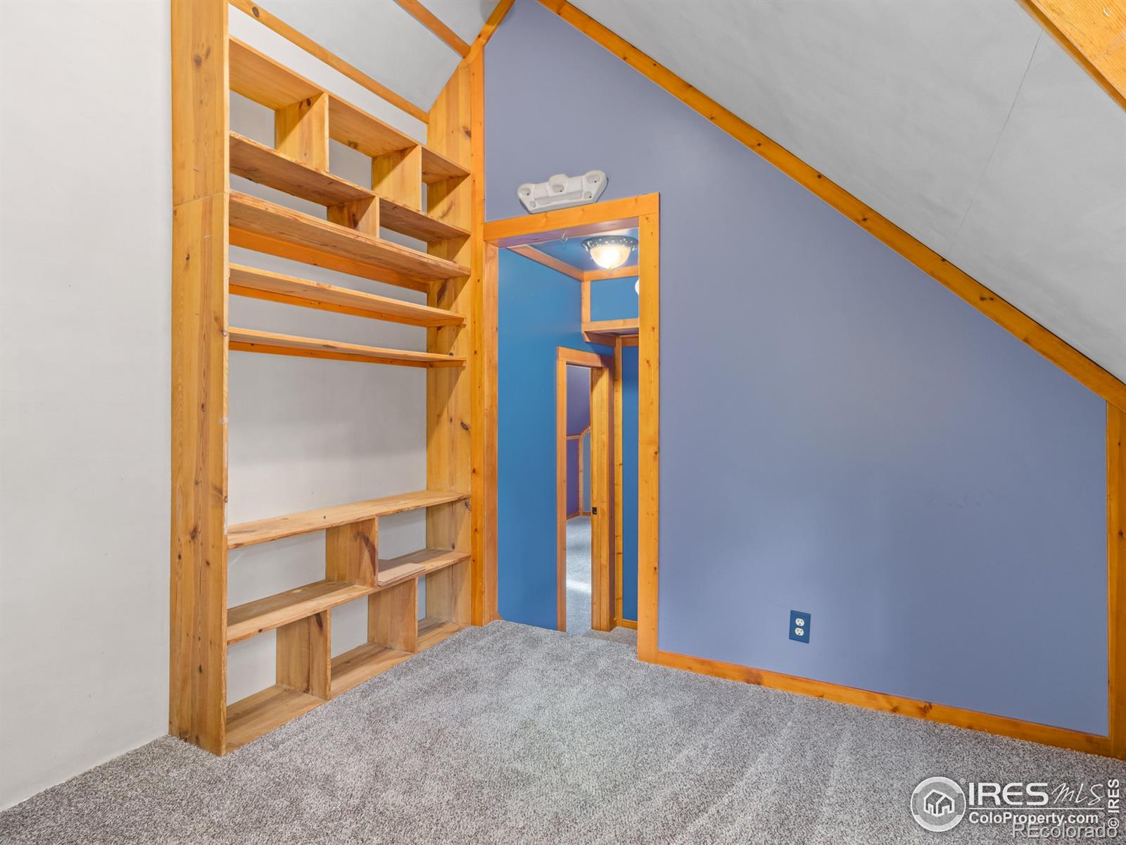MLS Image #31 for 251  haugen slide road,allenspark, Colorado