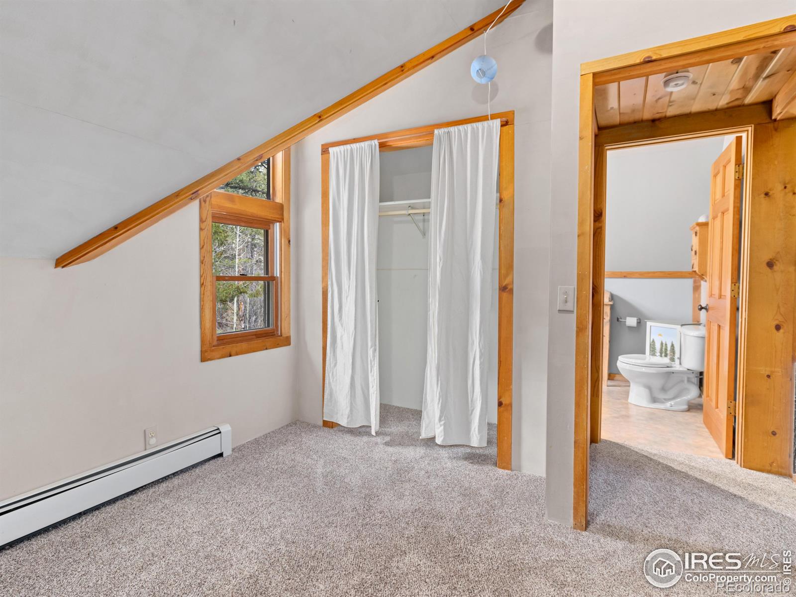 MLS Image #32 for 251  haugen slide road,allenspark, Colorado