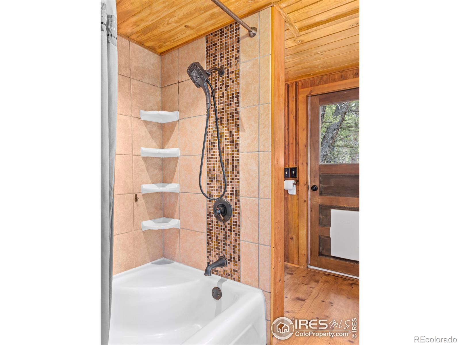 MLS Image #33 for 251  haugen slide road,allenspark, Colorado