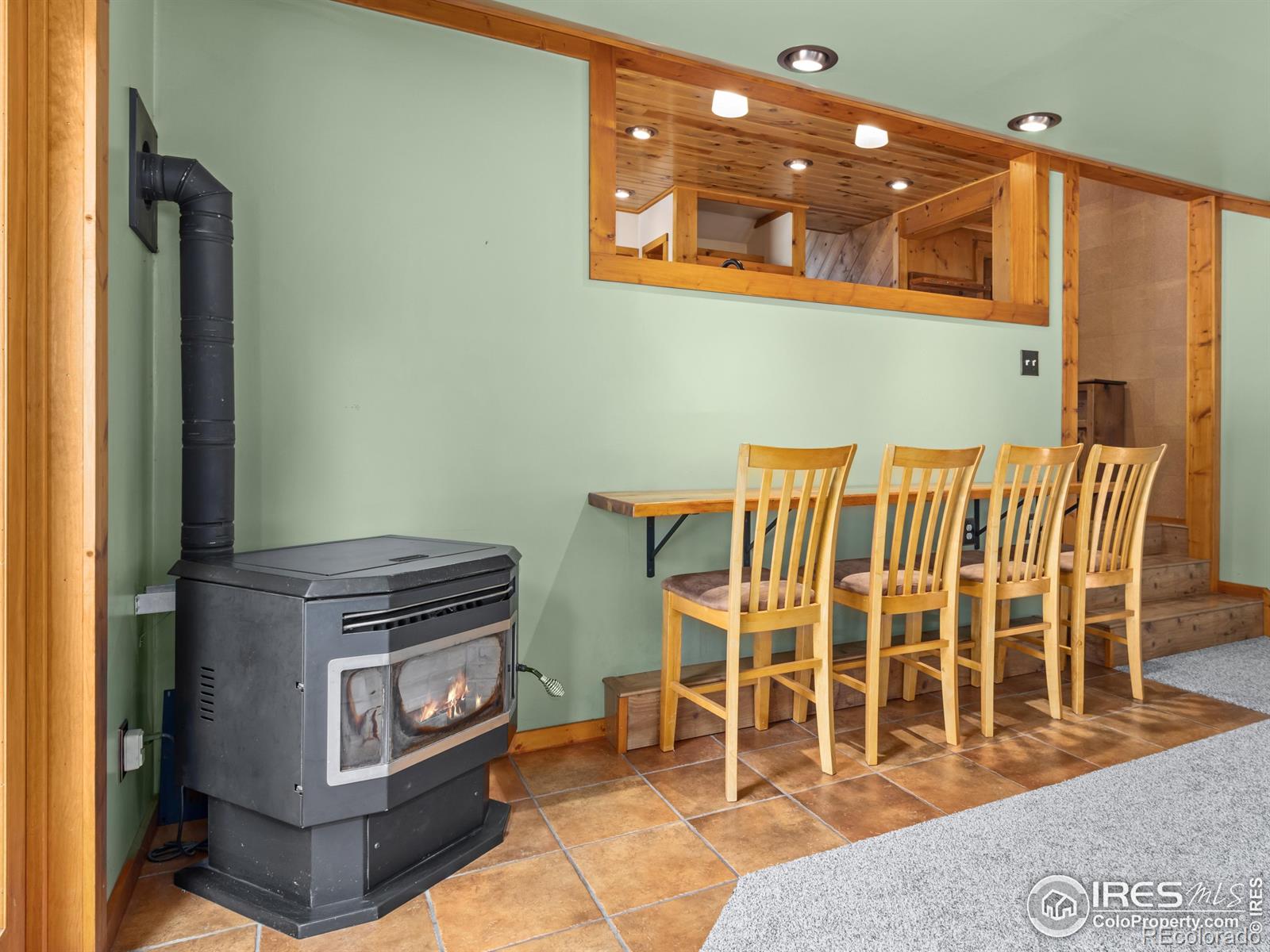MLS Image #4 for 251  haugen slide road,allenspark, Colorado