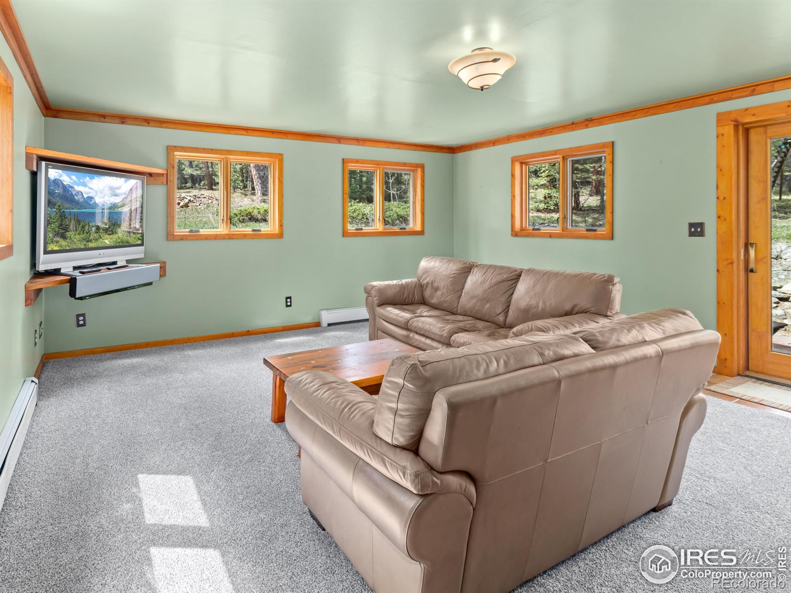 MLS Image #5 for 251  haugen slide road,allenspark, Colorado