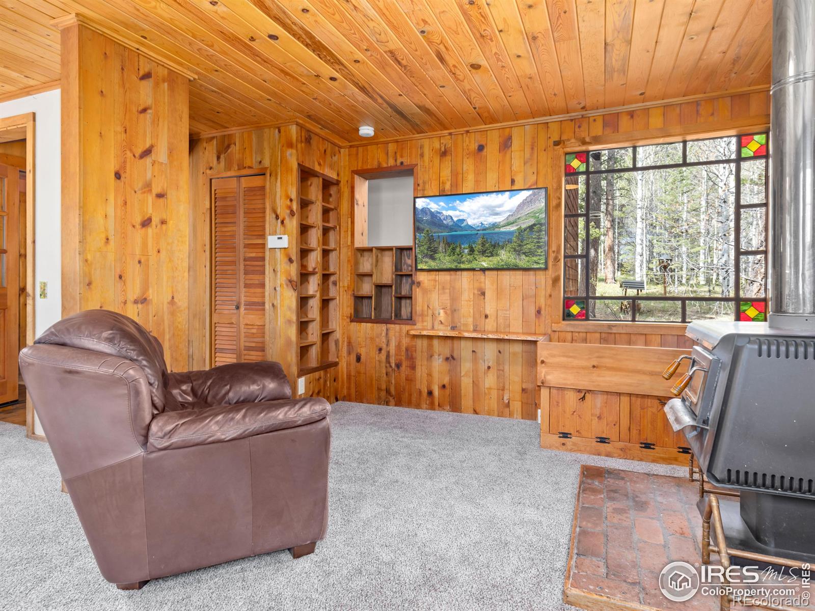 MLS Image #6 for 251  haugen slide road,allenspark, Colorado