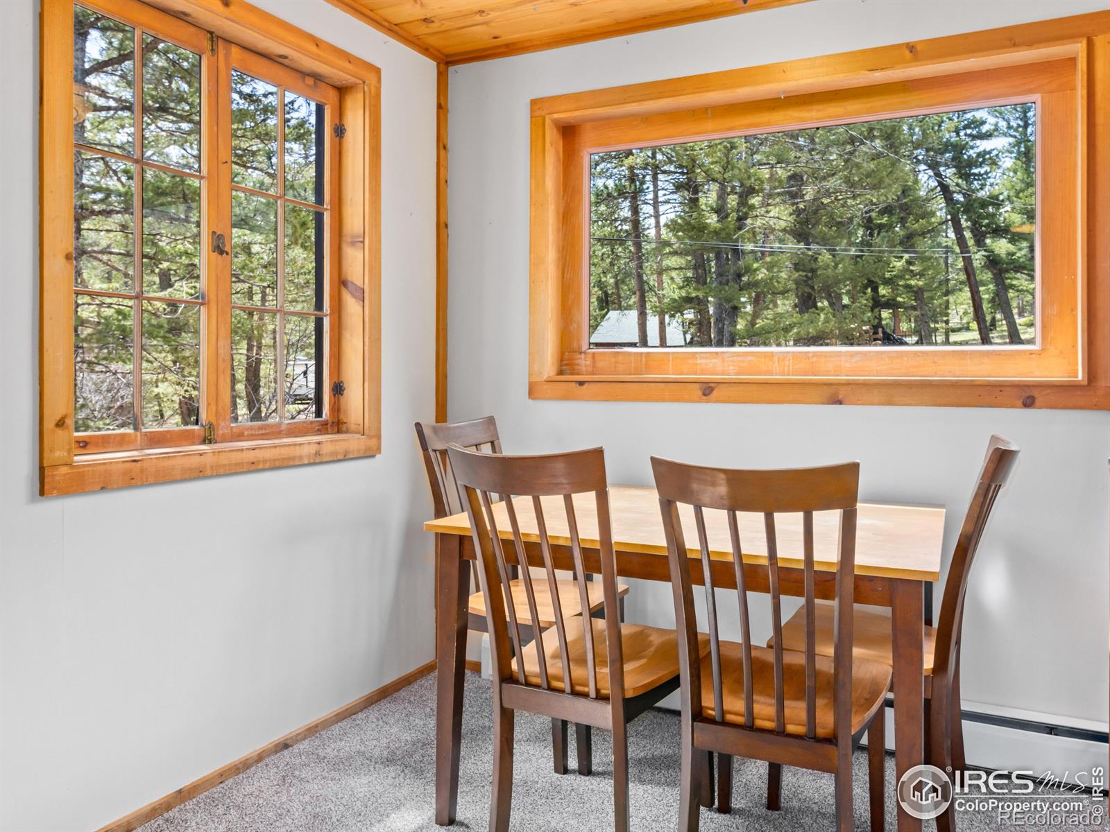 MLS Image #7 for 251  haugen slide road,allenspark, Colorado