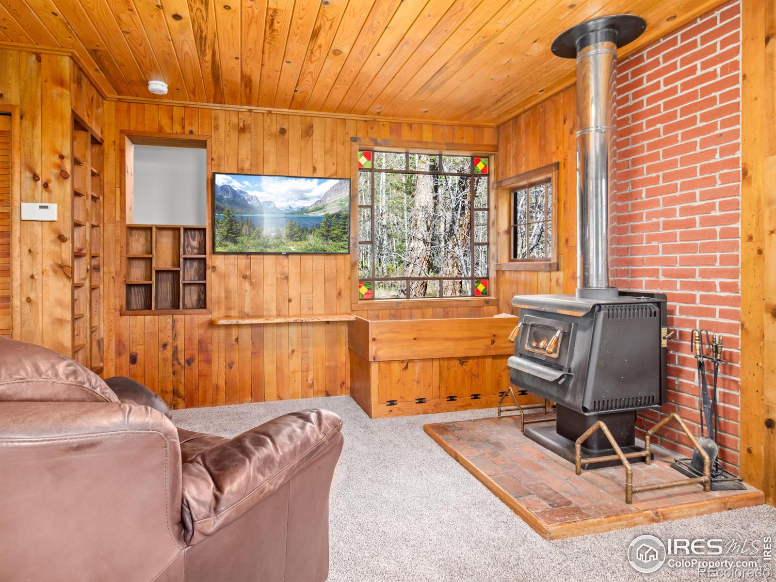 MLS Image #9 for 251  haugen slide road,allenspark, Colorado