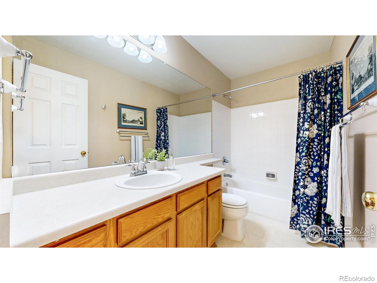 MLS Image #18 for 3221  mesa verde street,fort collins, Colorado