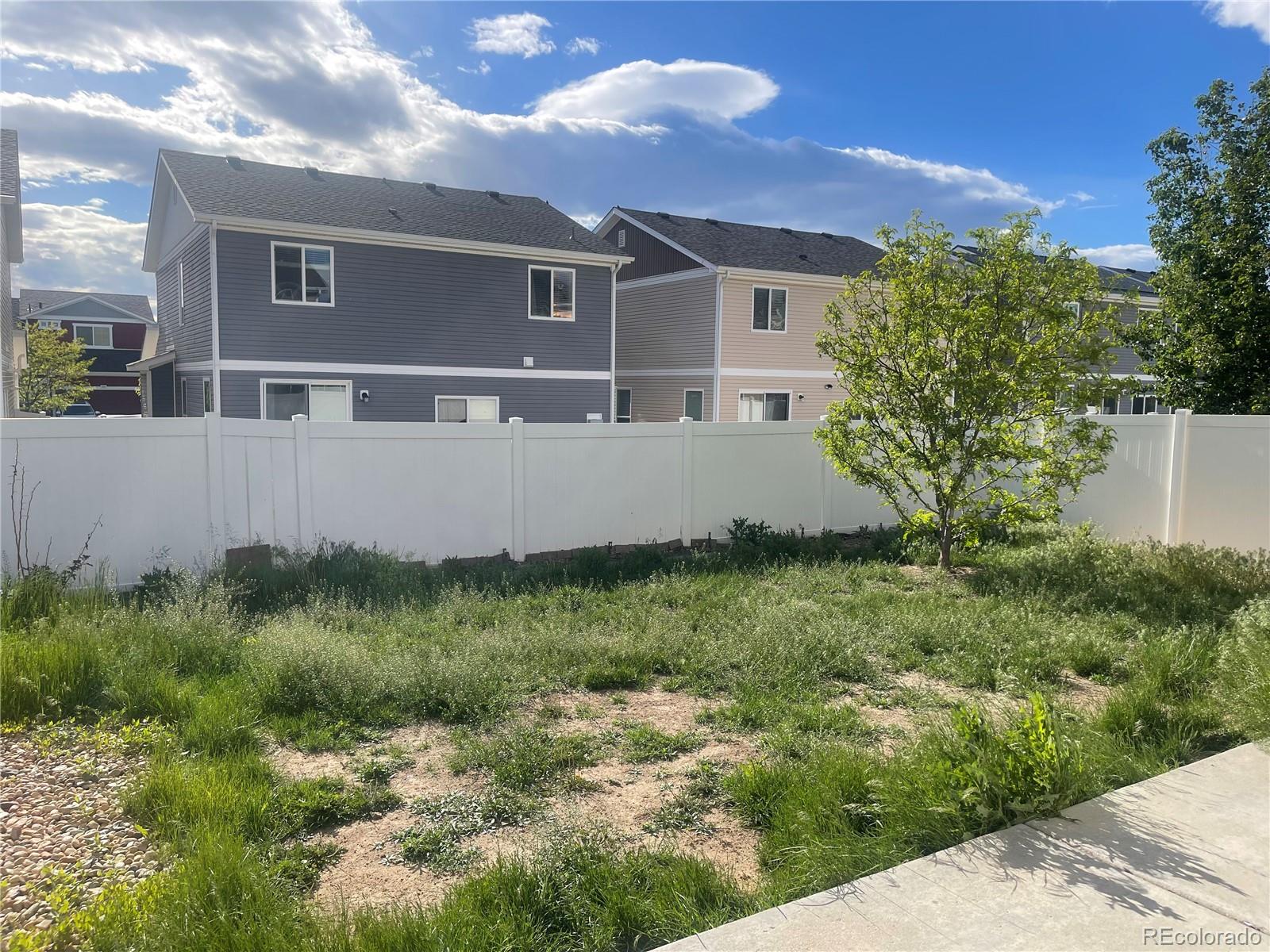 MLS Image #30 for 5537  malta street,denver, Colorado