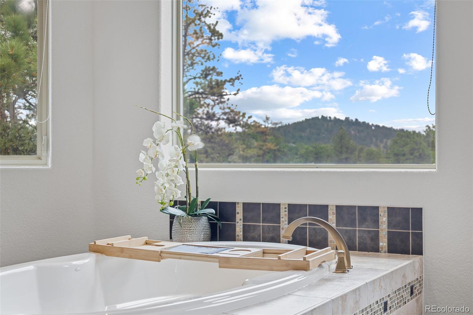 MLS Image #22 for 1474  belford court,evergreen, Colorado