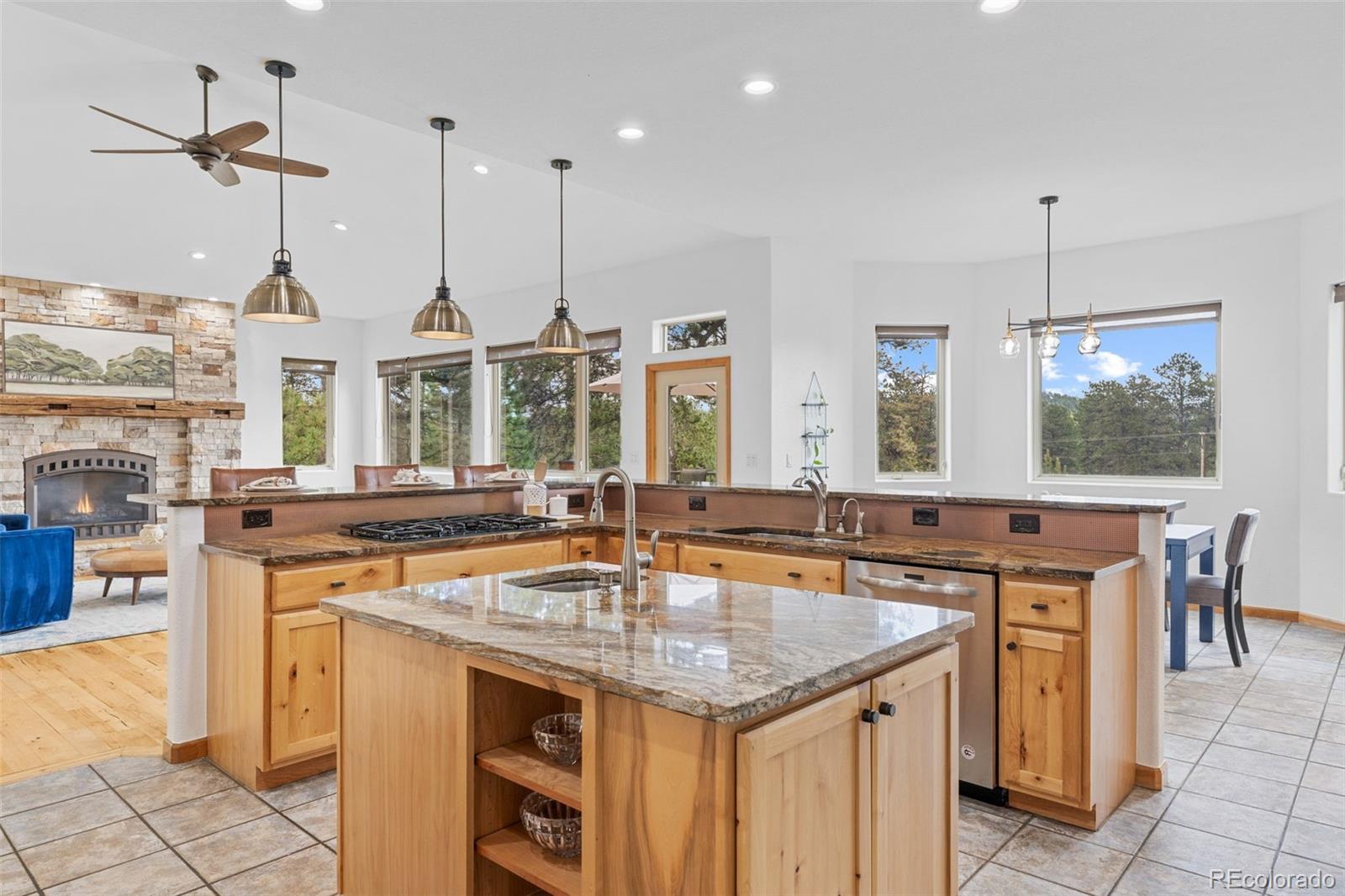 MLS Image #7 for 1474  belford court,evergreen, Colorado