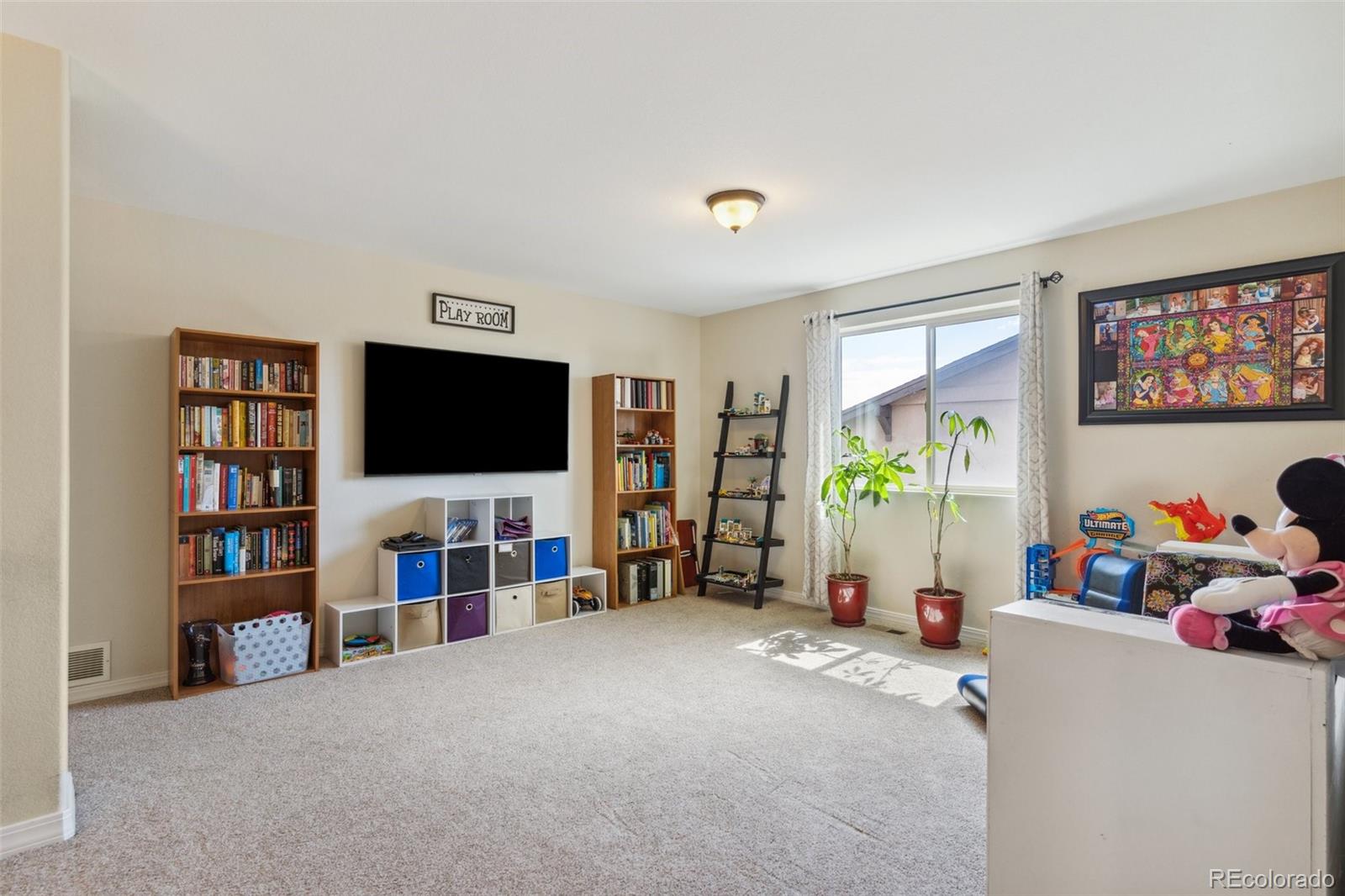 MLS Image #16 for 2436  delicato court,colorado springs, Colorado