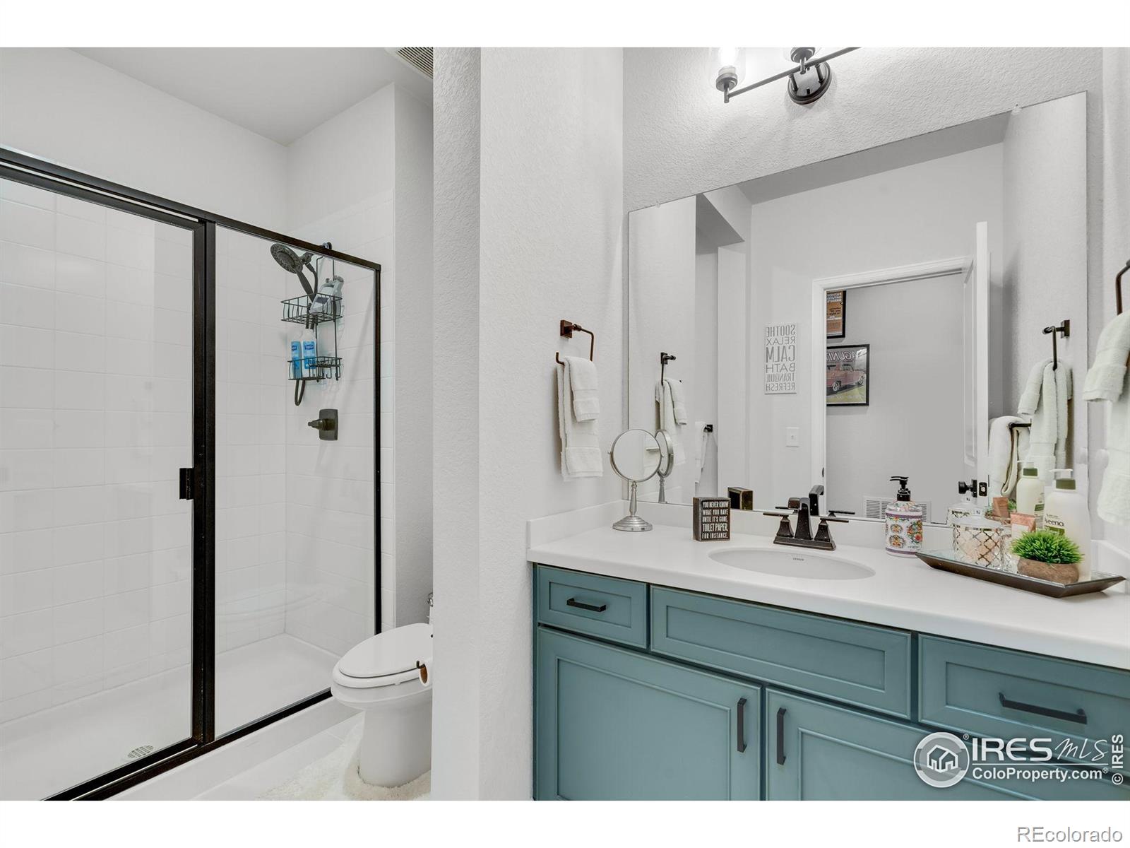 MLS Image #29 for 5524  congressional court,windsor, Colorado