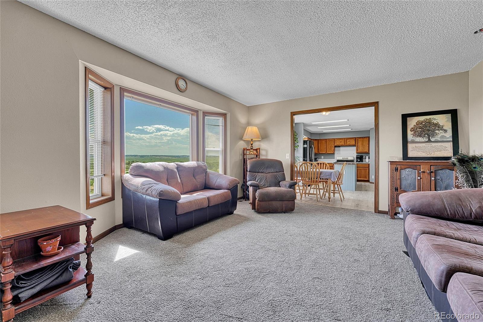 MLS Image #24 for 21494  way of peace ,deer trail, Colorado