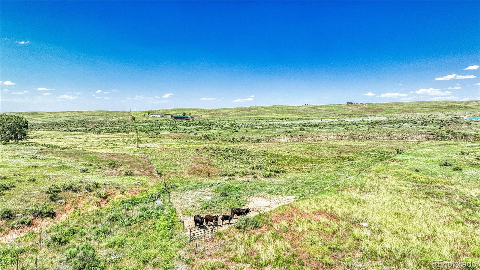 MLS Image #31 for 21494  way of peace ,deer trail, Colorado