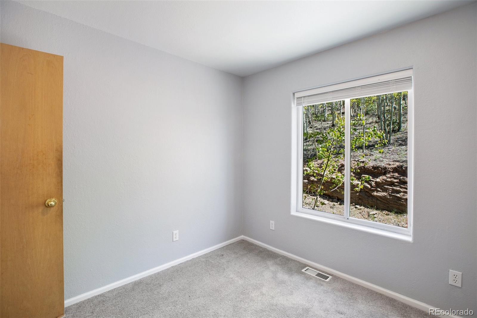 MLS Image #19 for 1536  county road 1 ,cripple creek, Colorado