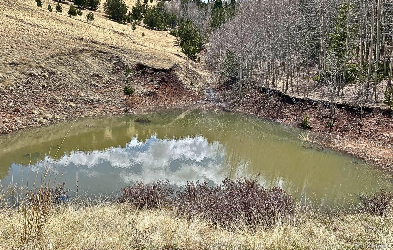 MLS Image #22 for 1536  county road 1 ,cripple creek, Colorado