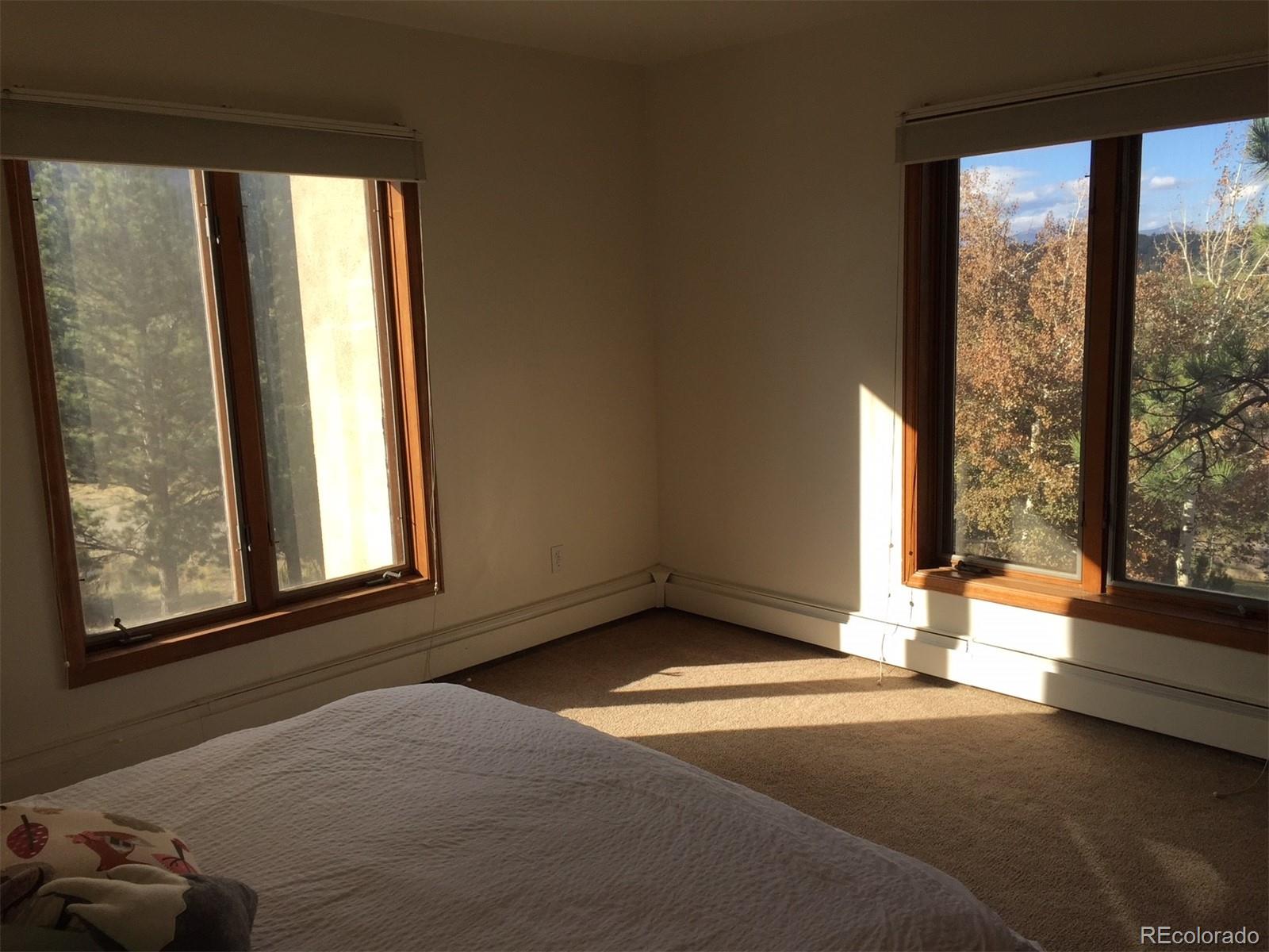 MLS Image #24 for 31270  john wallace road,evergreen, Colorado