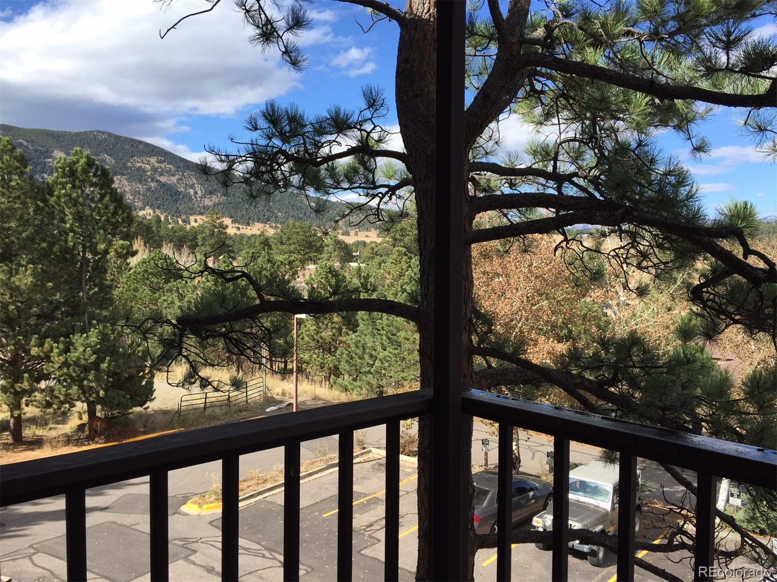 MLS Image #27 for 31270  john wallace road,evergreen, Colorado