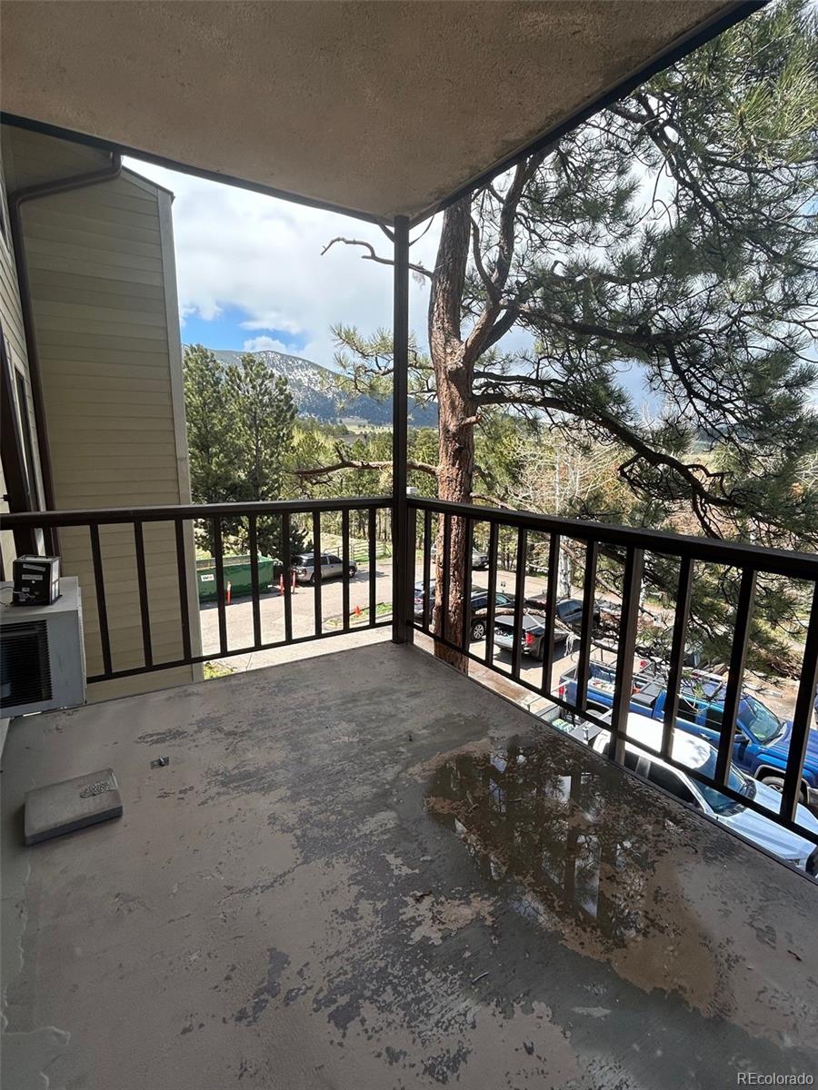 MLS Image #28 for 31270  john wallace road,evergreen, Colorado