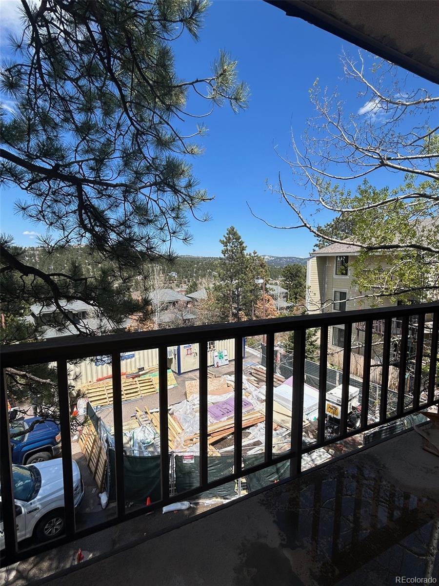MLS Image #30 for 31270  john wallace road,evergreen, Colorado