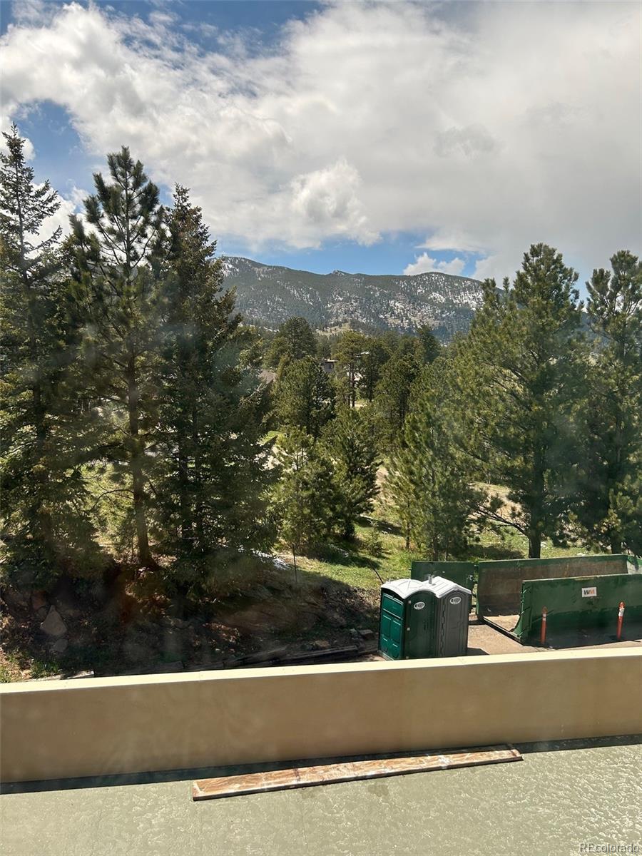 MLS Image #31 for 31270  john wallace road,evergreen, Colorado