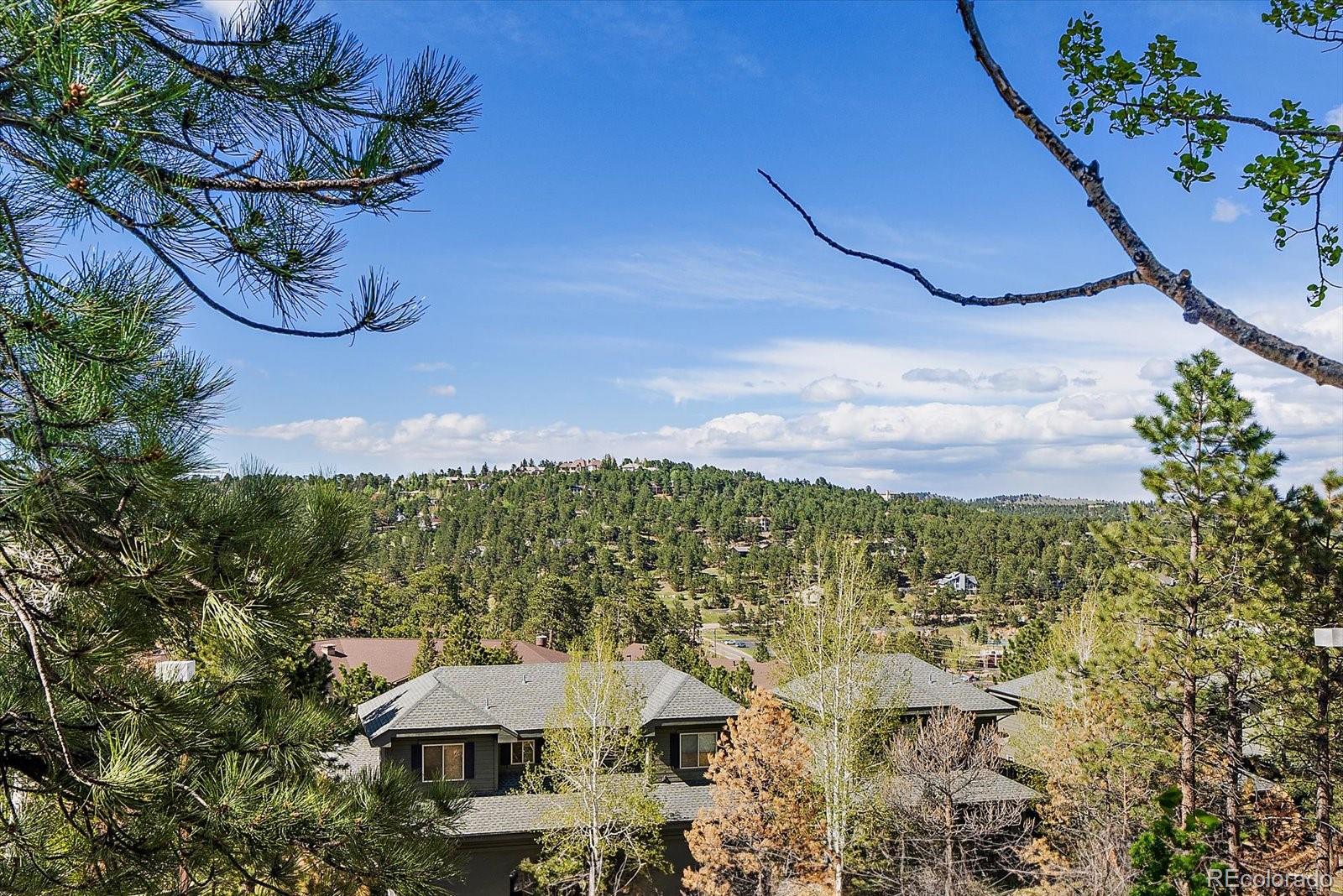 MLS Image #41 for 31270  john wallace road,evergreen, Colorado