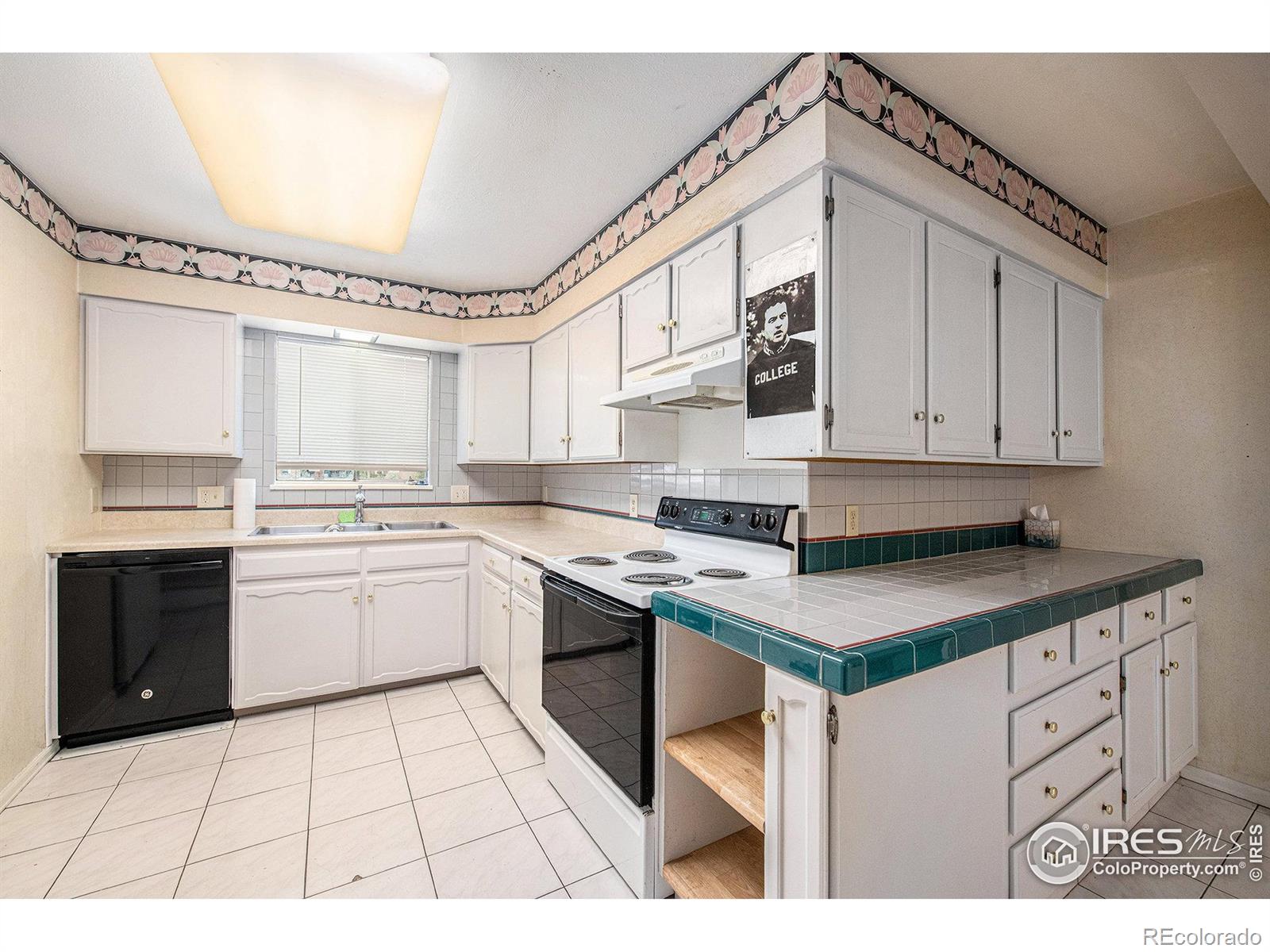 MLS Image #9 for 512  cook drive,fort collins, Colorado