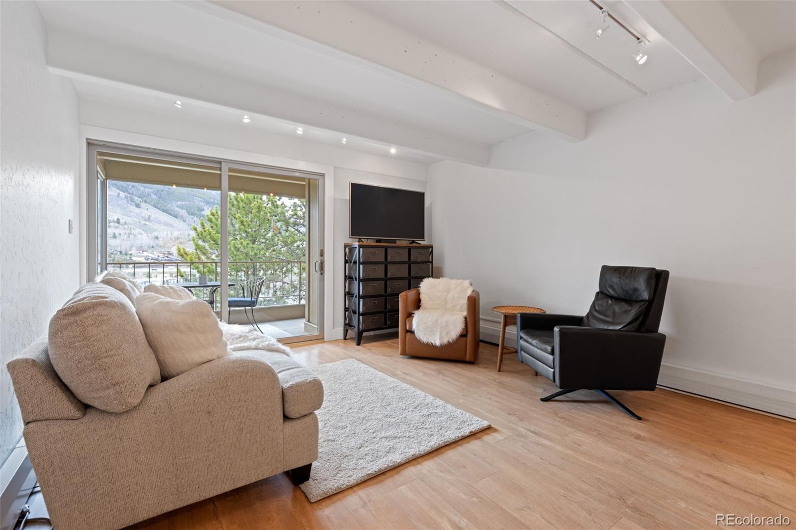 MLS Image #10 for 220 e la bonte street,dillon, Colorado