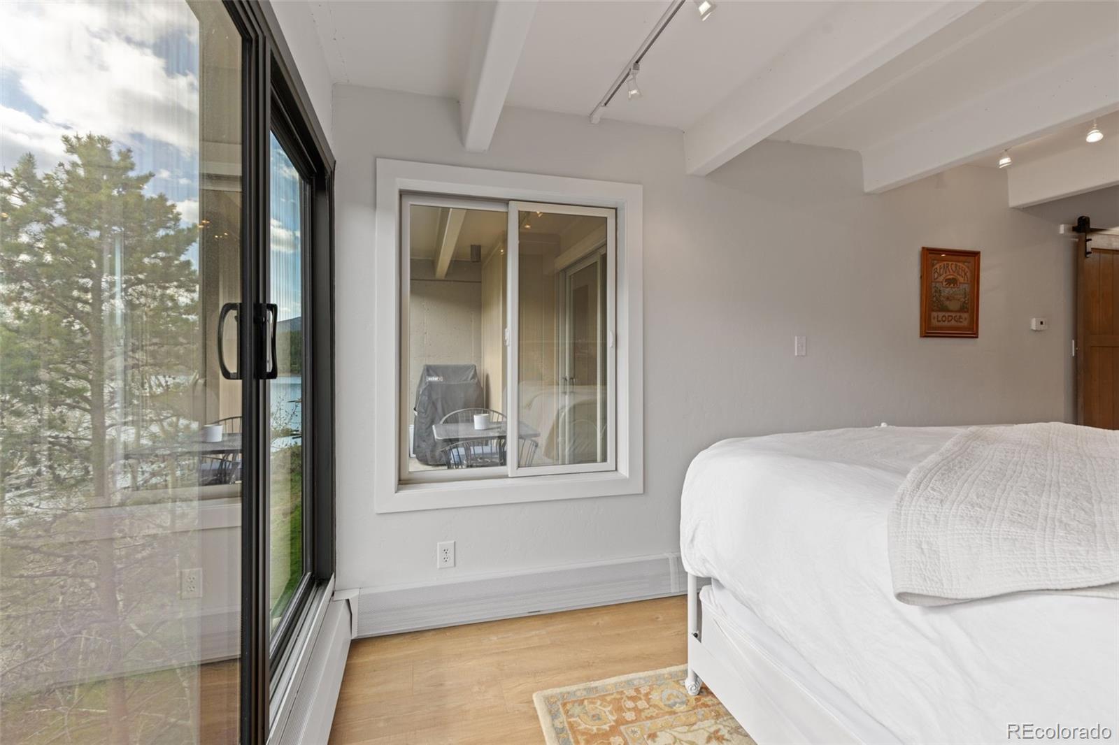 MLS Image #21 for 220 e la bonte street,dillon, Colorado