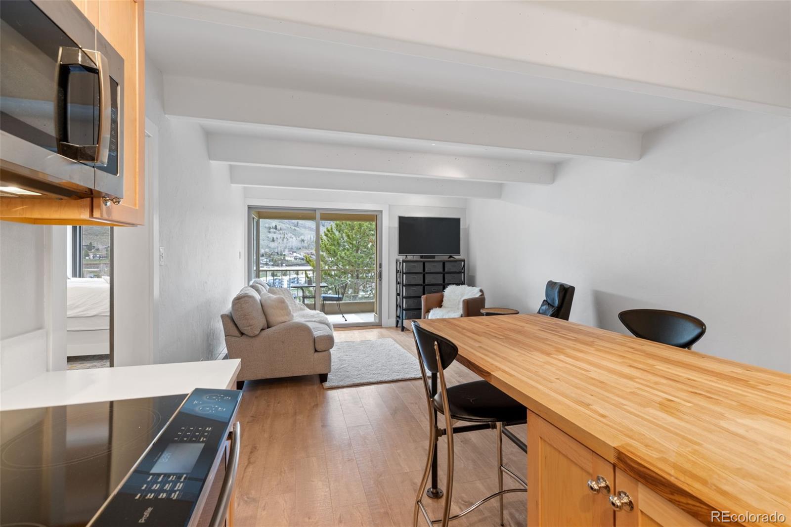 MLS Image #3 for 220 e la bonte street,dillon, Colorado