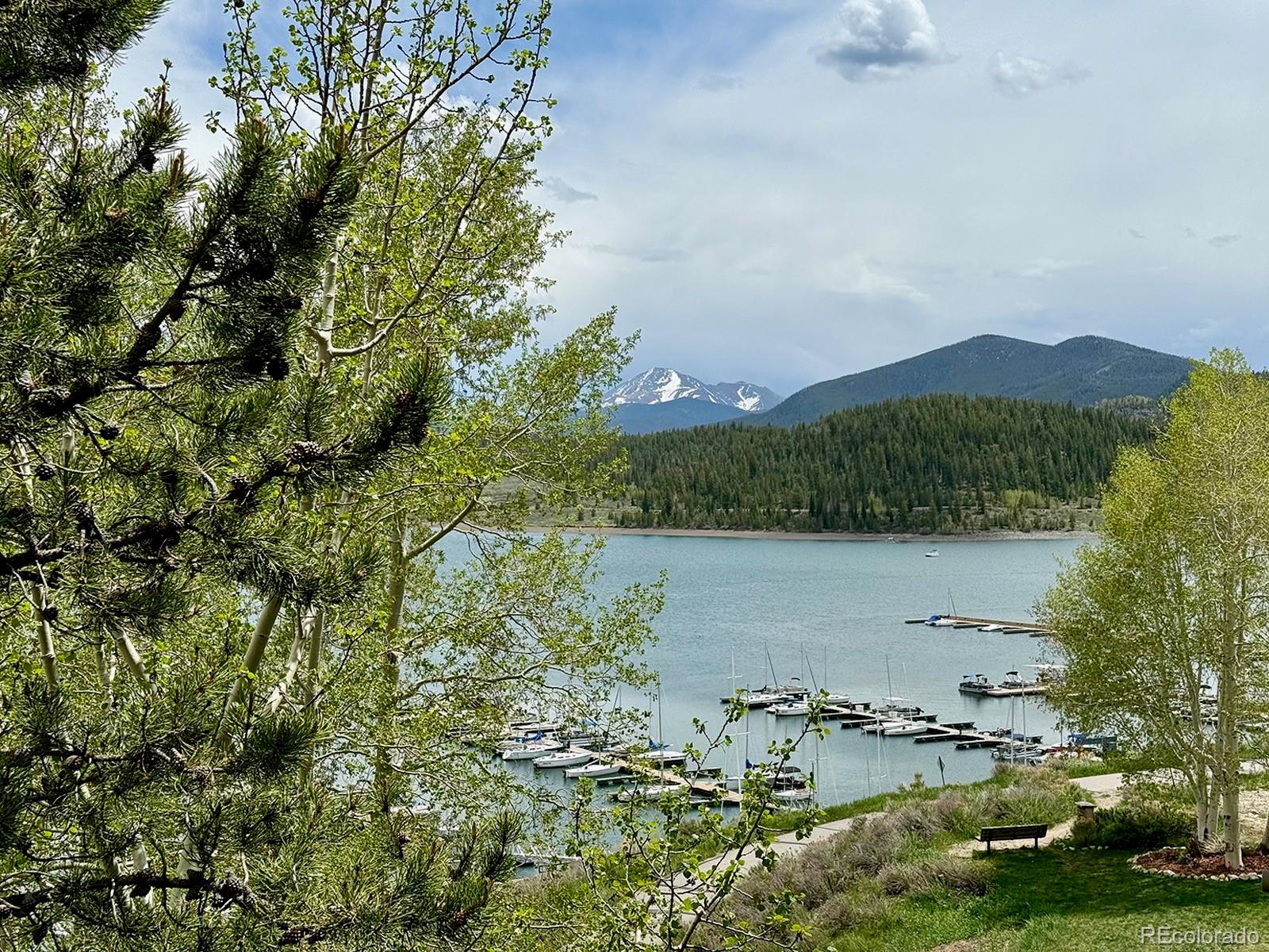 MLS Image #43 for 220 e la bonte street,dillon, Colorado
