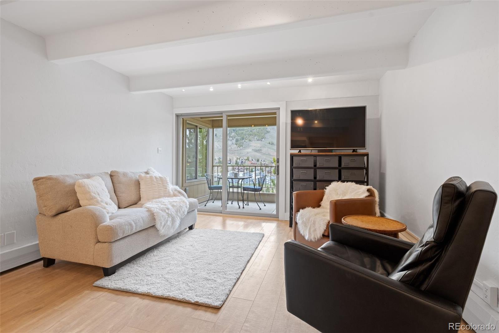 MLS Image #7 for 220 e la bonte street,dillon, Colorado