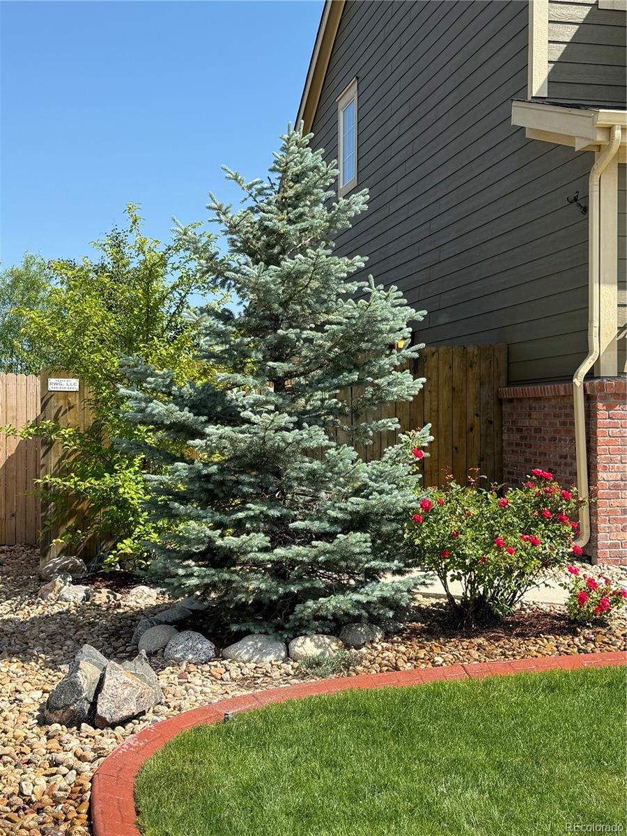MLS Image #45 for 13326  olive way,thornton, Colorado
