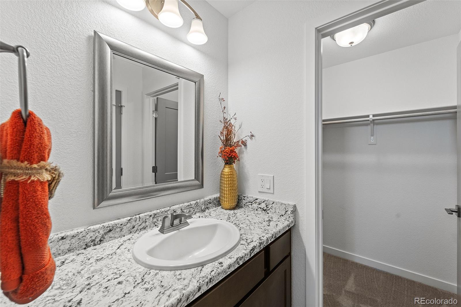 MLS Image #24 for 3575  rosette grove,colorado springs, Colorado