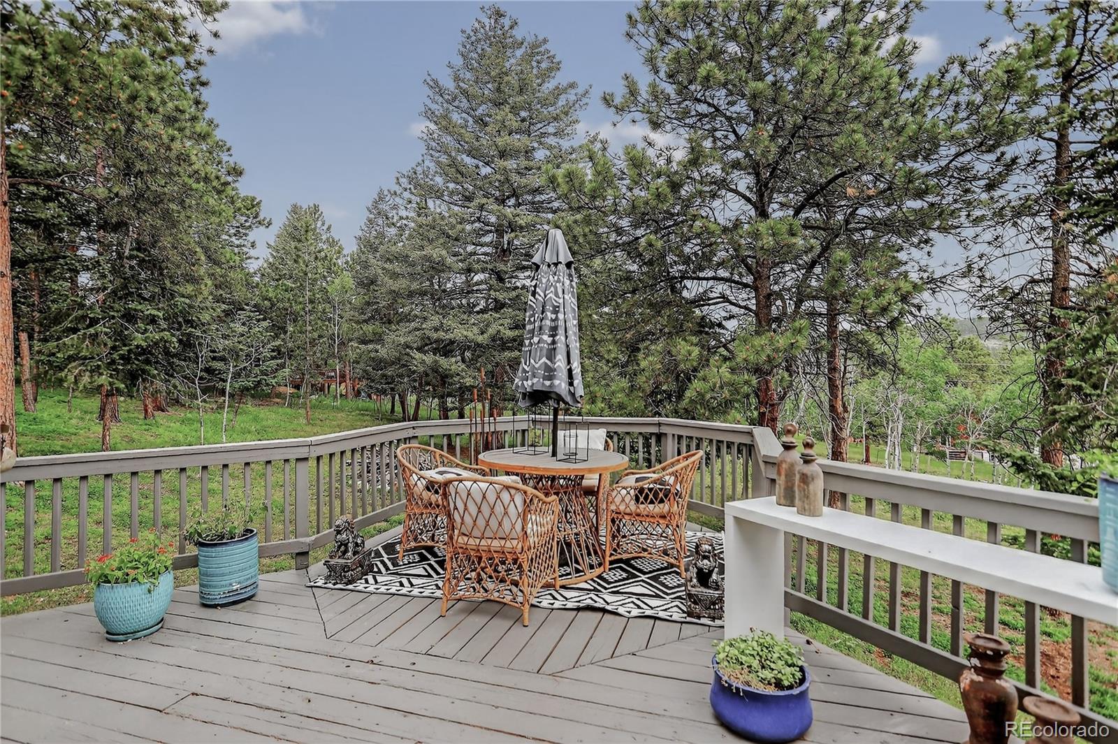 MLS Image #24 for 119  yew lane,bailey, Colorado