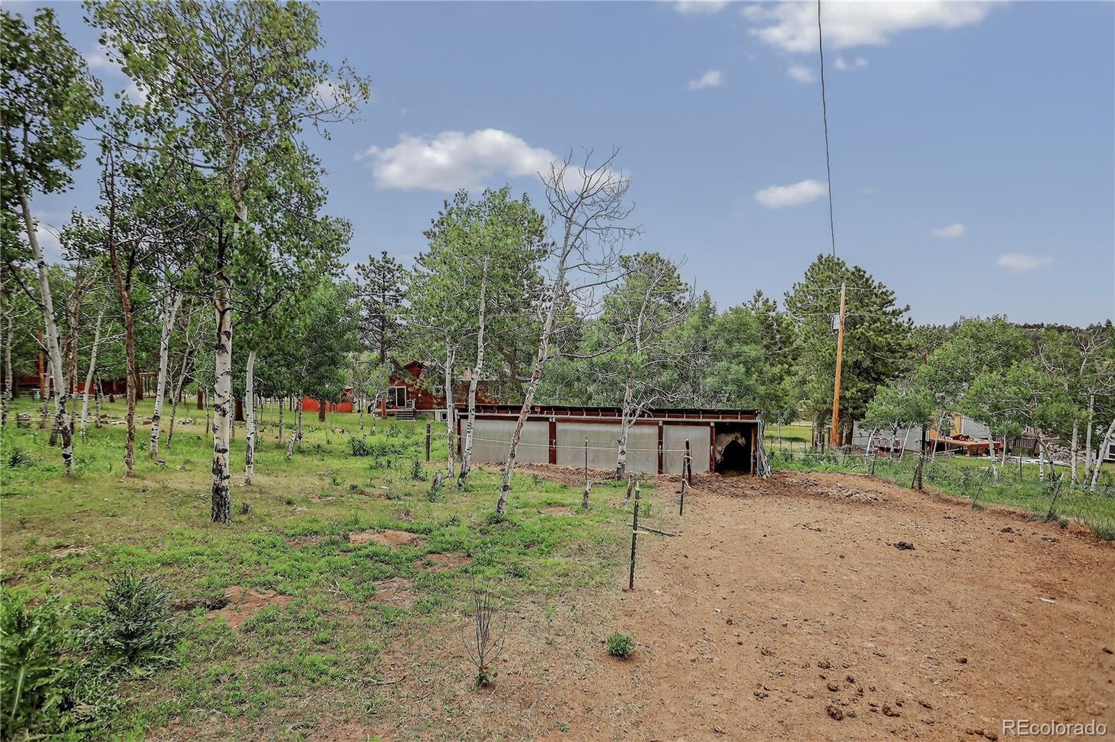 MLS Image #27 for 119  yew lane,bailey, Colorado