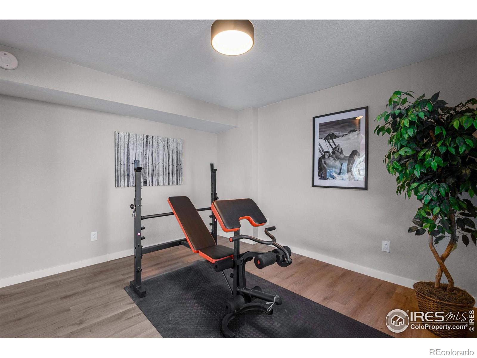 MLS Image #35 for 6465  red hill road,boulder, Colorado