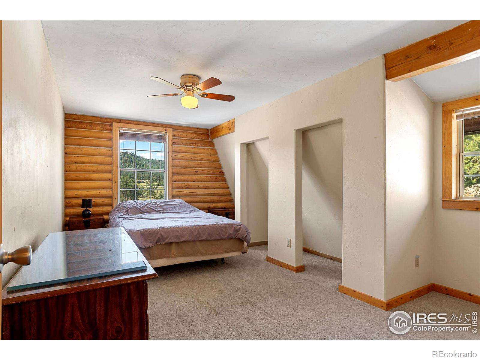 MLS Image #19 for 490  gordon court,livermore, Colorado