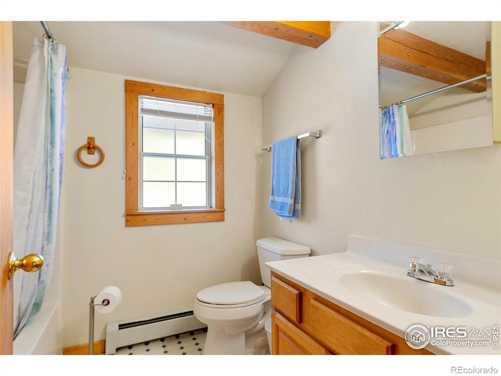 MLS Image #20 for 490  gordon court,livermore, Colorado