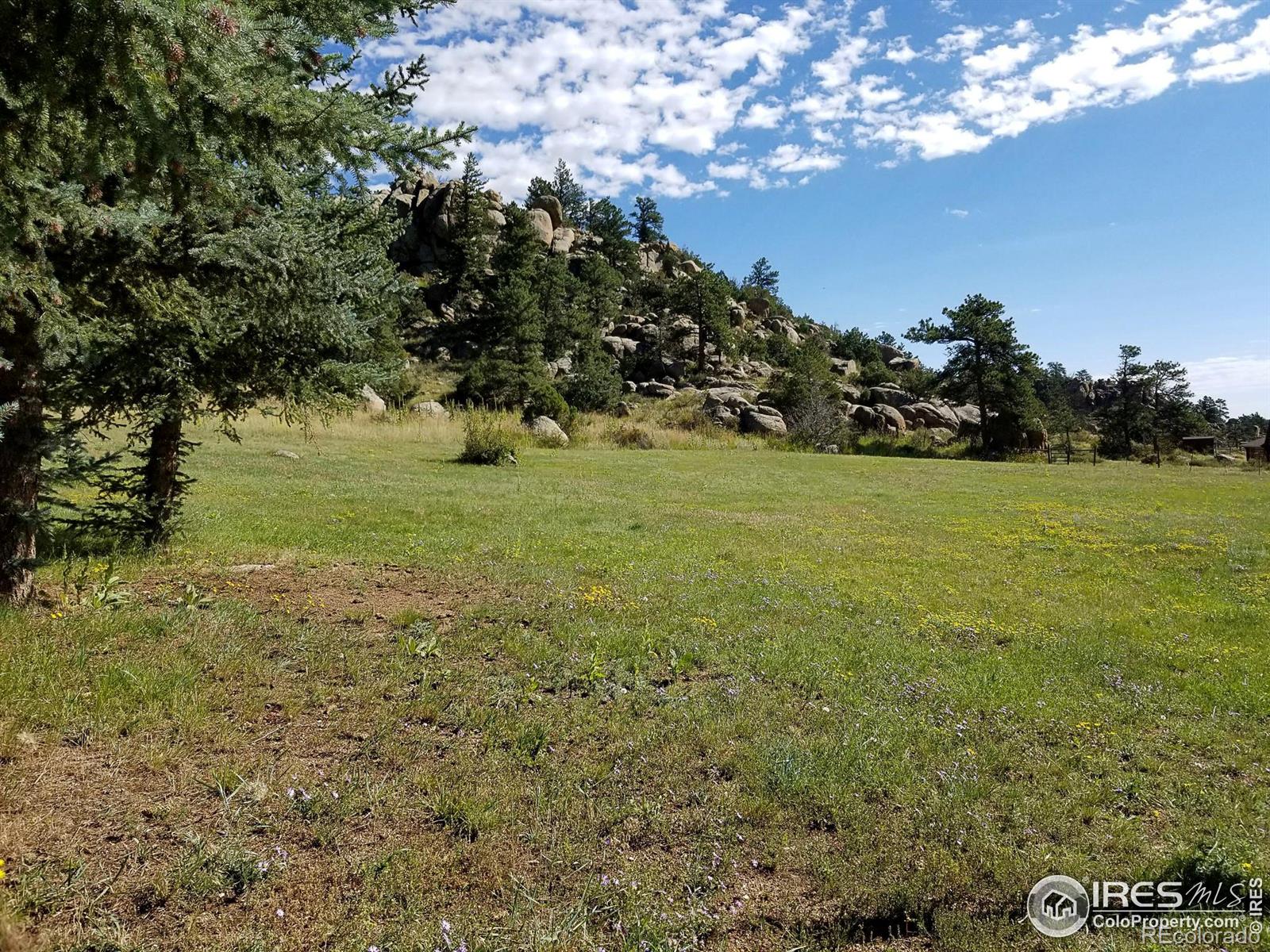 MLS Image #23 for 490  gordon court,livermore, Colorado