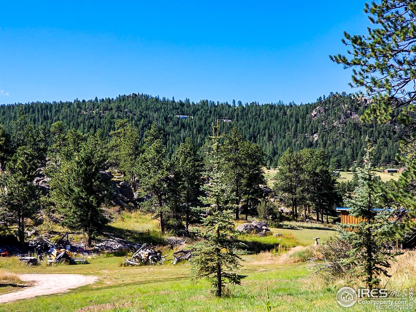 MLS Image #32 for 490  gordon court,livermore, Colorado
