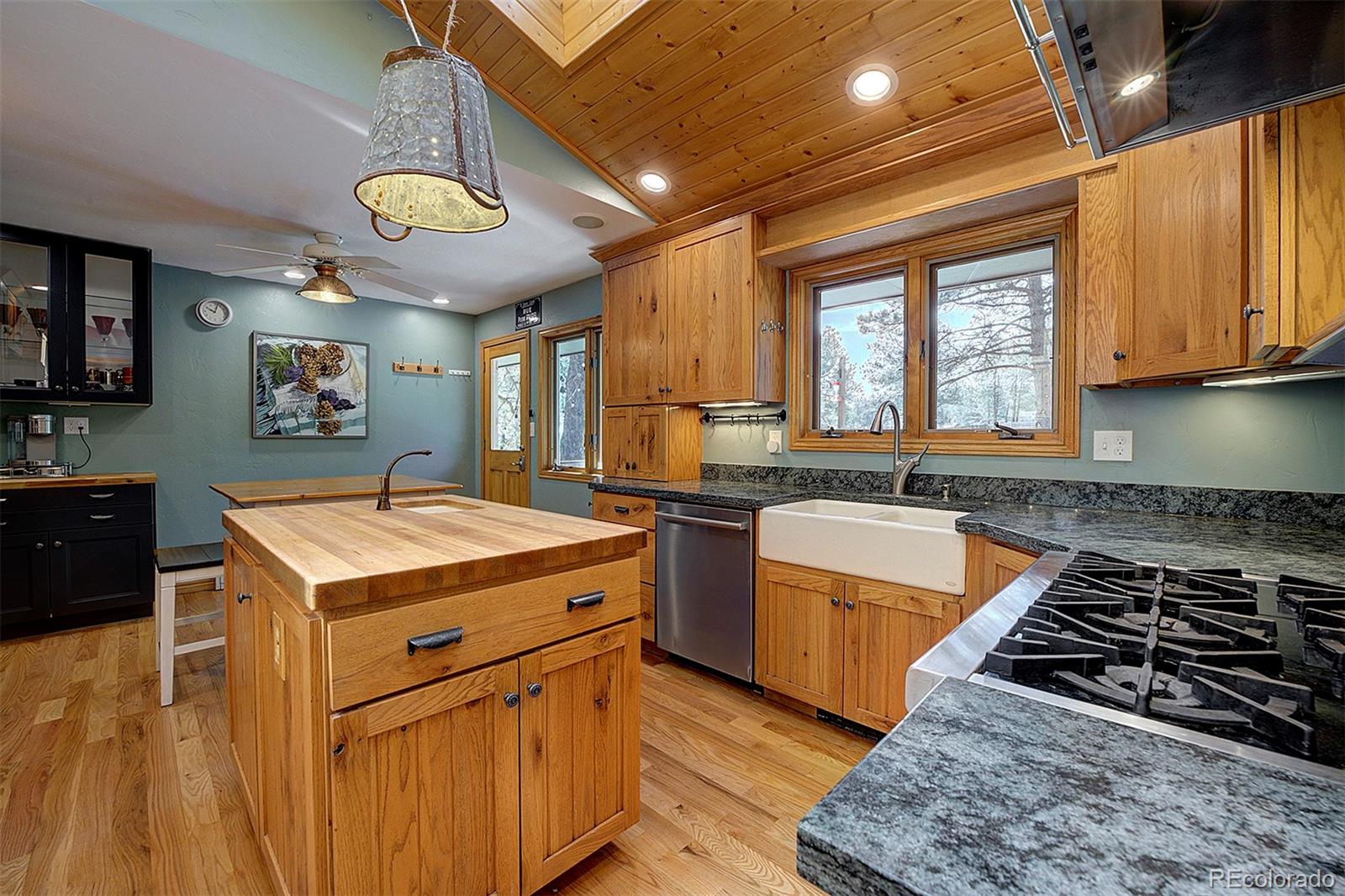 MLS Image #6 for 207  county road 65 ,evergreen, Colorado