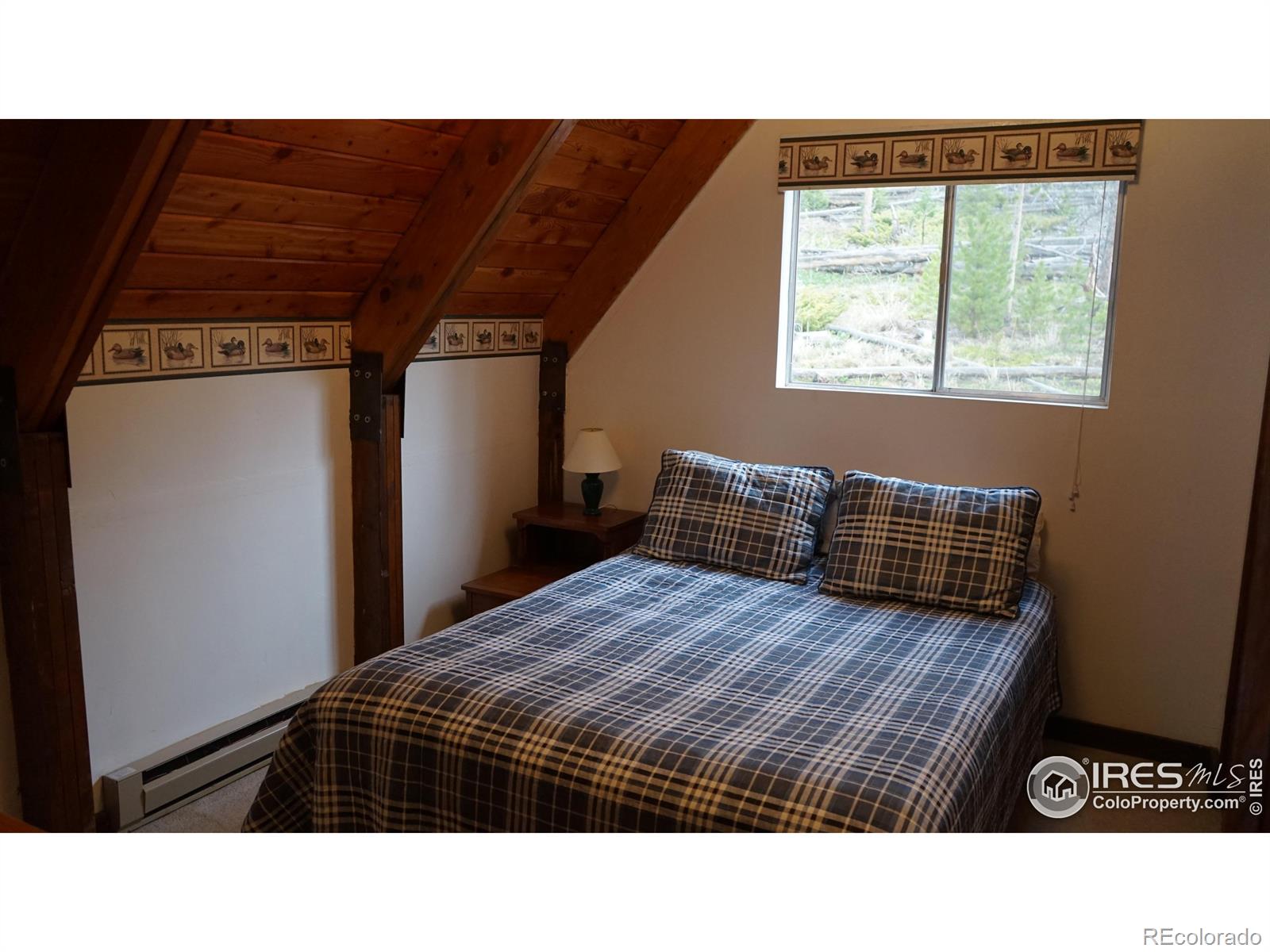 MLS Image #15 for 321  tonkawa drive,red feather lakes, Colorado