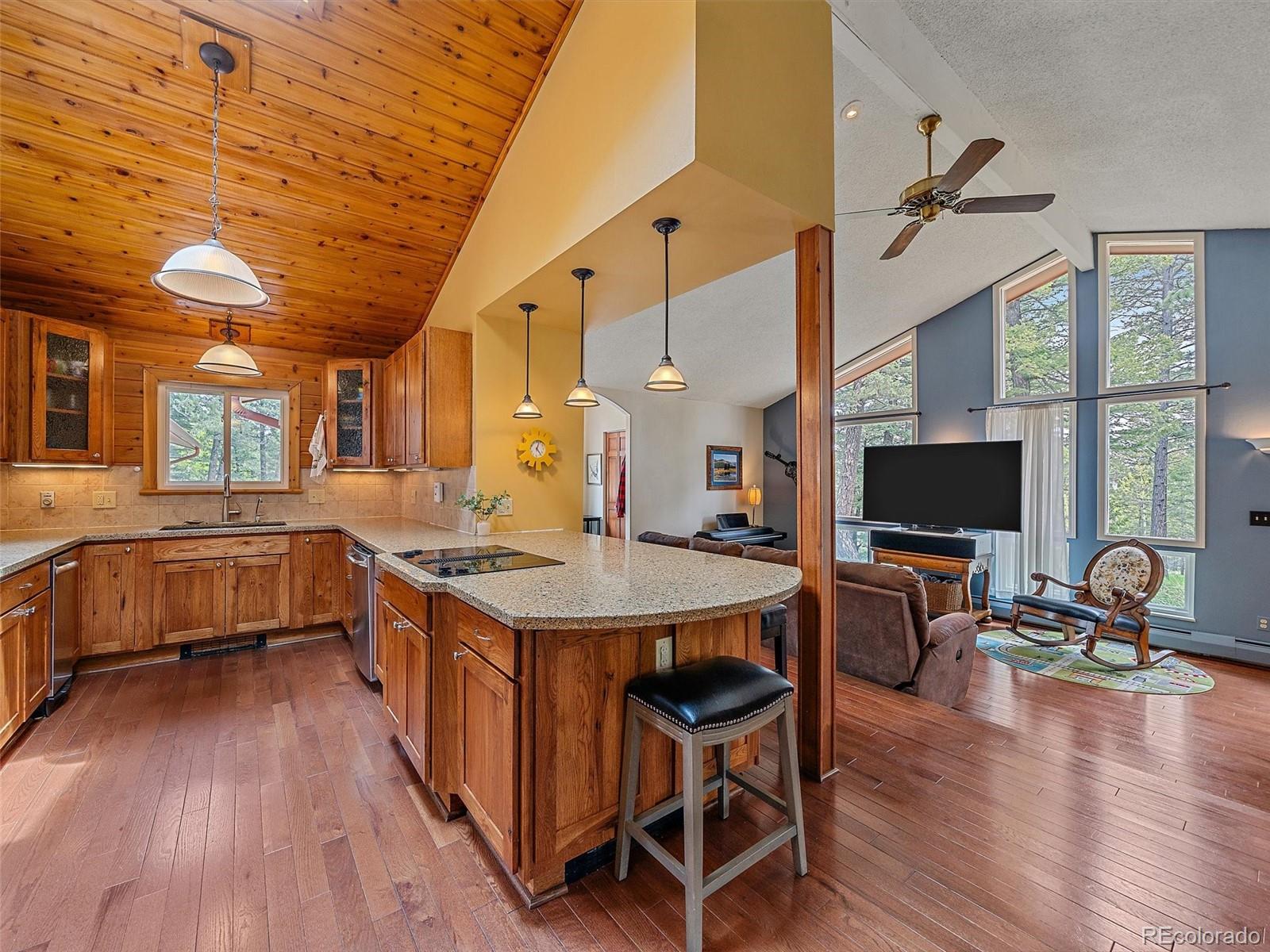 MLS Image #11 for 7585  native dancer trail,evergreen, Colorado