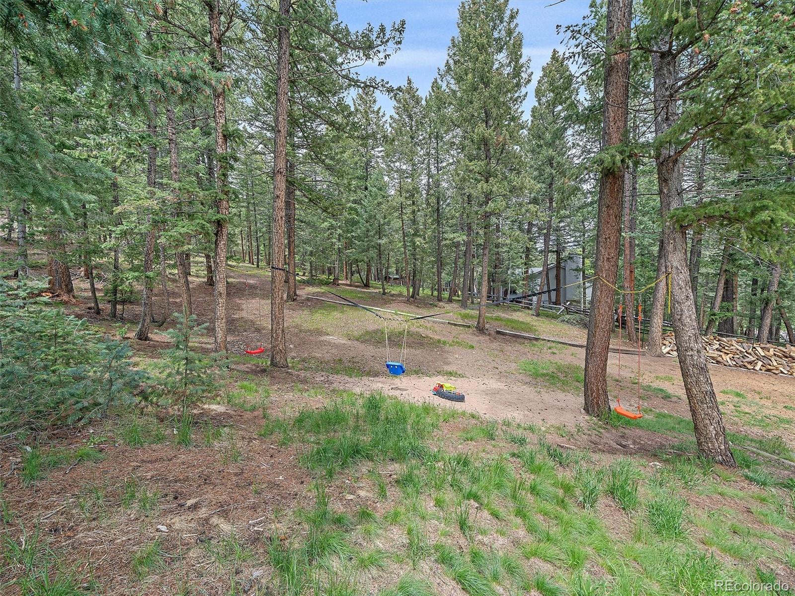 MLS Image #35 for 7585  native dancer trail,evergreen, Colorado