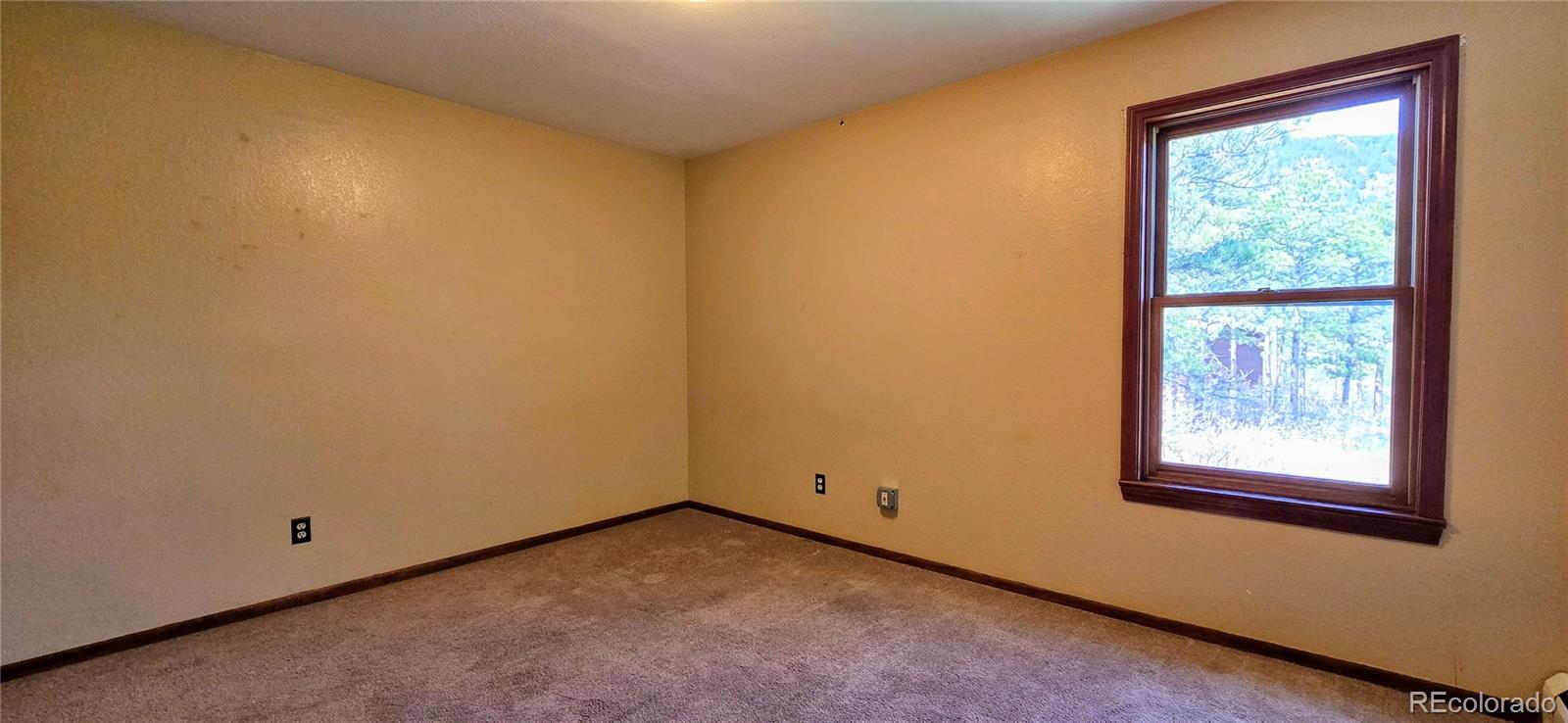 MLS Image #18 for 18170  forest view road,monument, Colorado