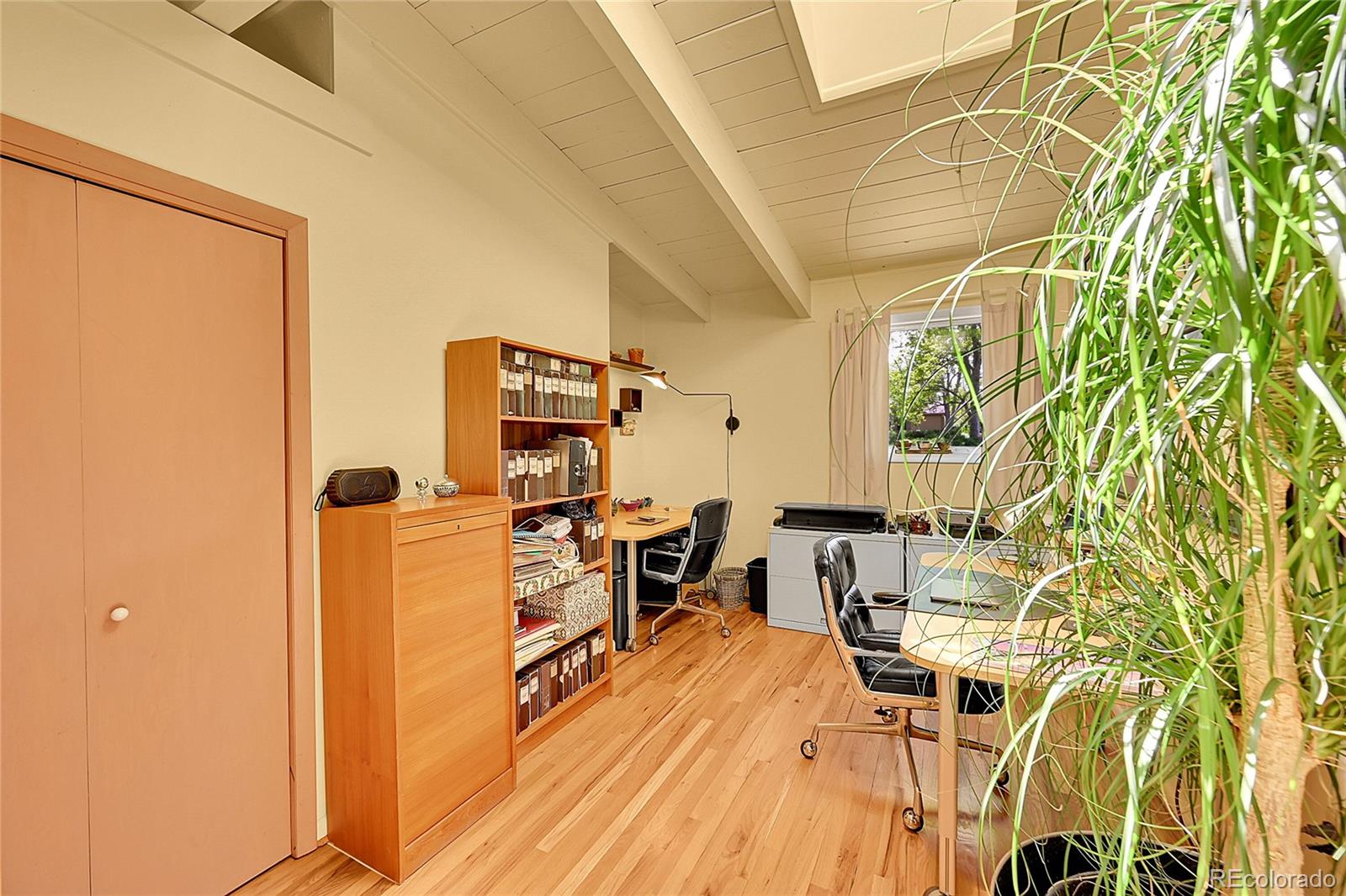 MLS Image #18 for 4701  homestead street,bow mar, Colorado