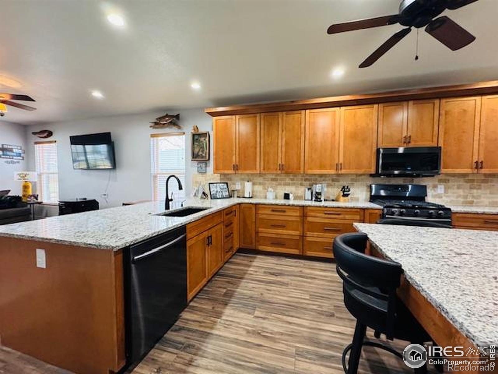 MLS Image #5 for 548  g street,walden, Colorado