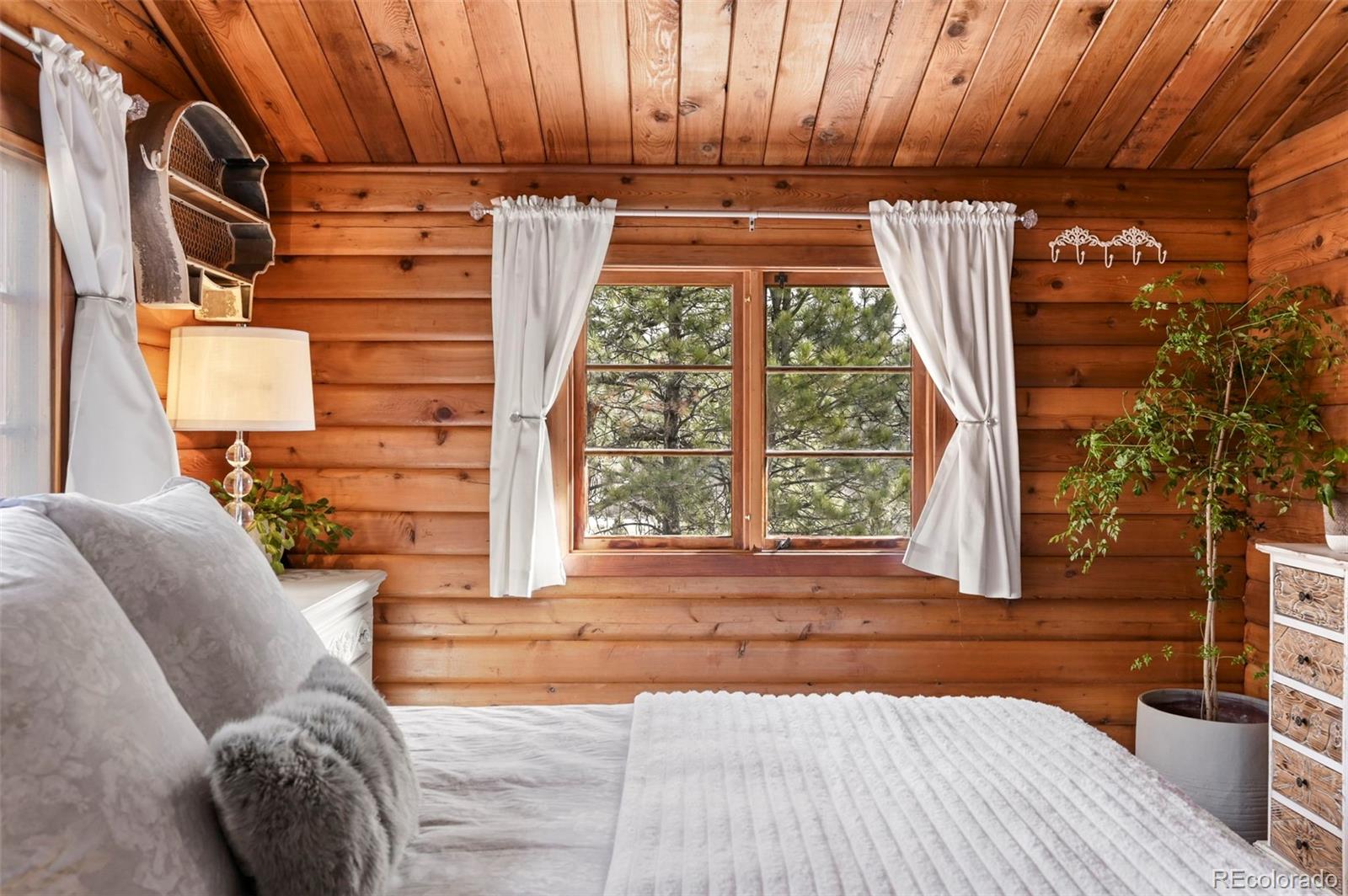 MLS Image #16 for 193  independence drive,cripple creek, Colorado
