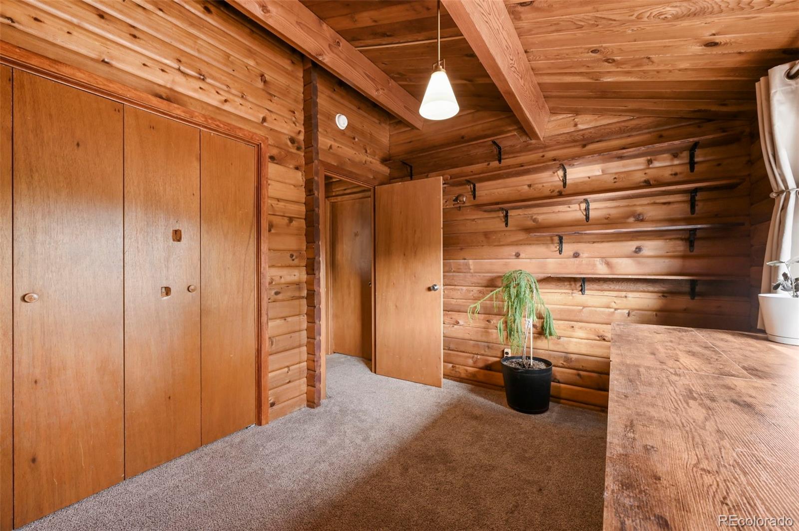 MLS Image #21 for 193  independence drive,cripple creek, Colorado