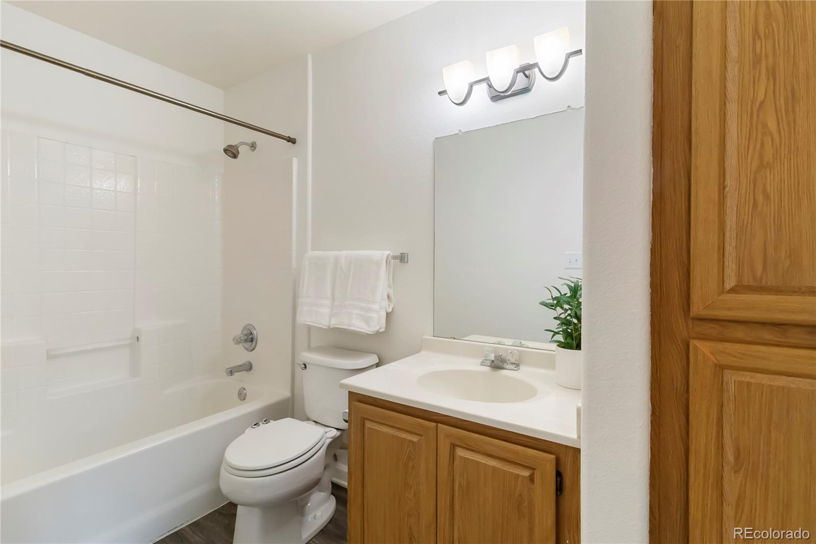 MLS Image #16 for 3825  canyon ranch road,highlands ranch, Colorado