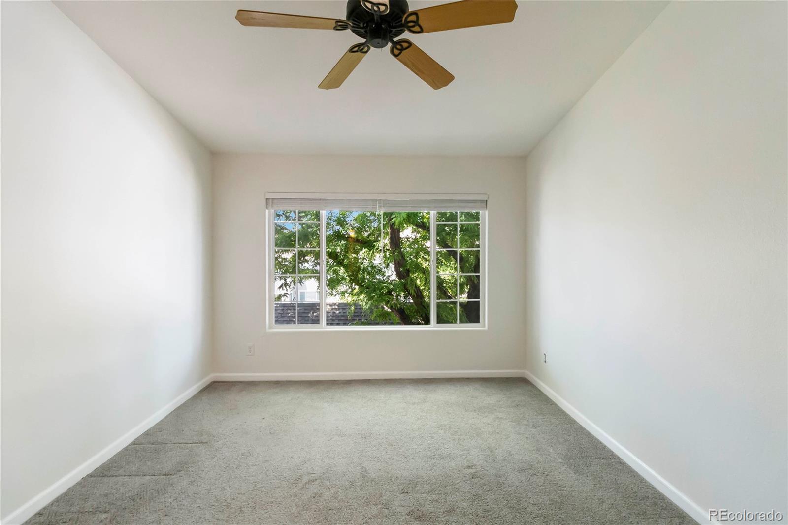 MLS Image #19 for 3825  canyon ranch road,highlands ranch, Colorado